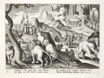 Regionen Etiopien producerer alle slags udyr - tigre, løver, vilde okser, strudse, hjorte og andre dyr lever fredeligt sammen. Det er skik at jage elefanter, illustration fra 